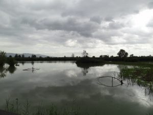 Padule di Fucecchio, observatorium