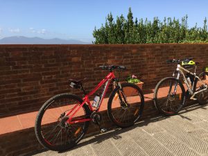 Cycling in Montecarlo