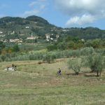 Cycling to San Gennaro