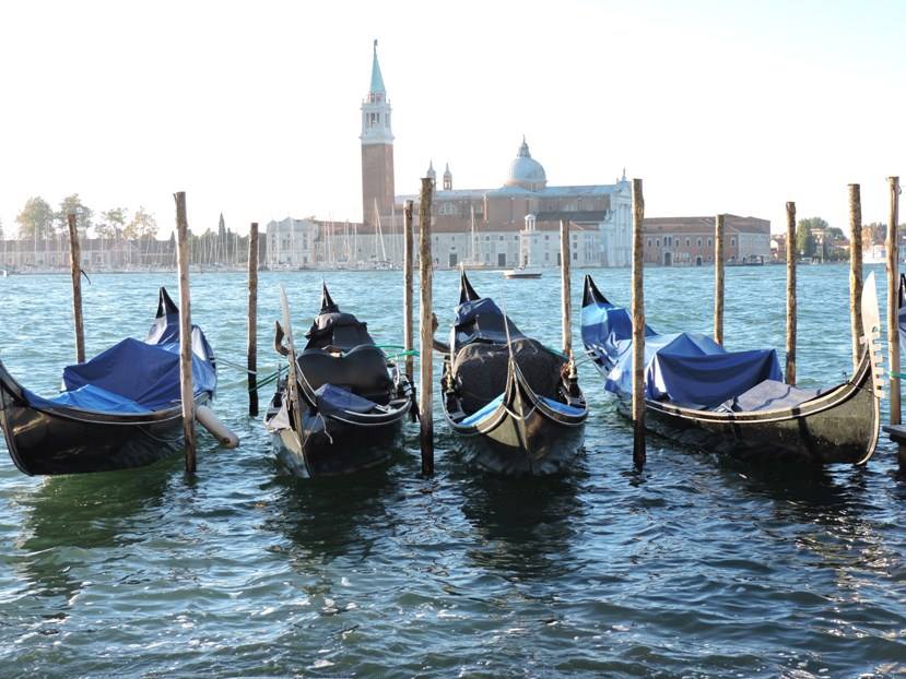 Venice - gondolas moored in front of the Piazza San Marco