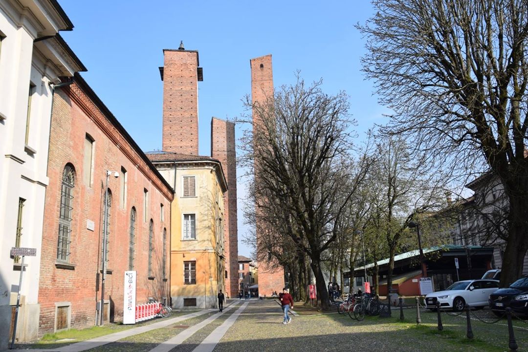 Pavia, Torri Gentilizie