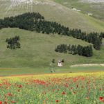 Castelluccio