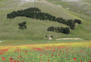 Castelluccio