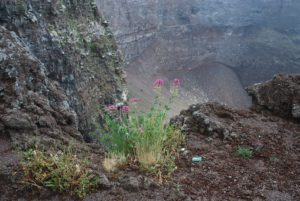 On the top of Volcano Vesuvius