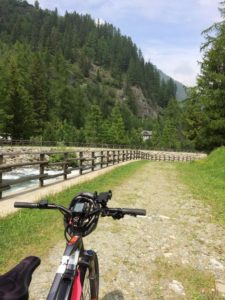 Trail through the pine wood from Charonnay - Le Foyer du Fond
