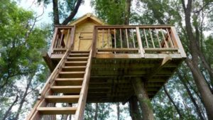 Biccari, Tree House