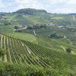 The Vineyard Landscape of Langhe