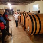 Wine Tasting at Stra