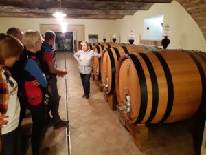 Wine Tasting at Stra