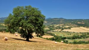 Maremma Tuscany