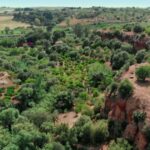 Kolymbethra Garden areal view