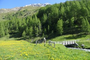 Great St Bernard Valley