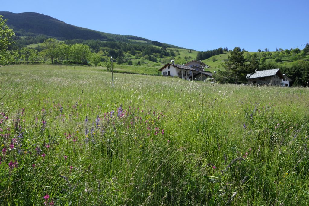 La Couis Farmhouse