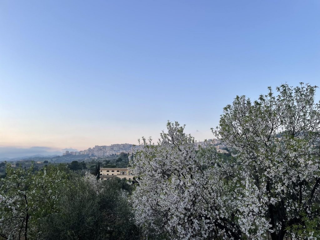 Agrigento Valley of the Temples