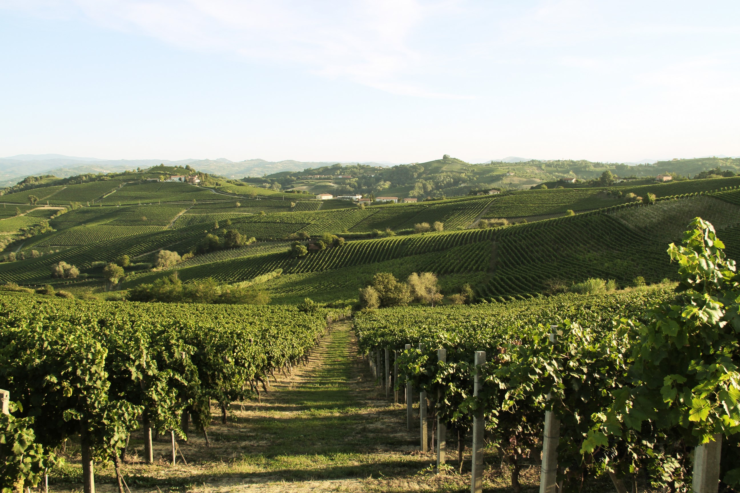 Vignobles d'Acqui Terme