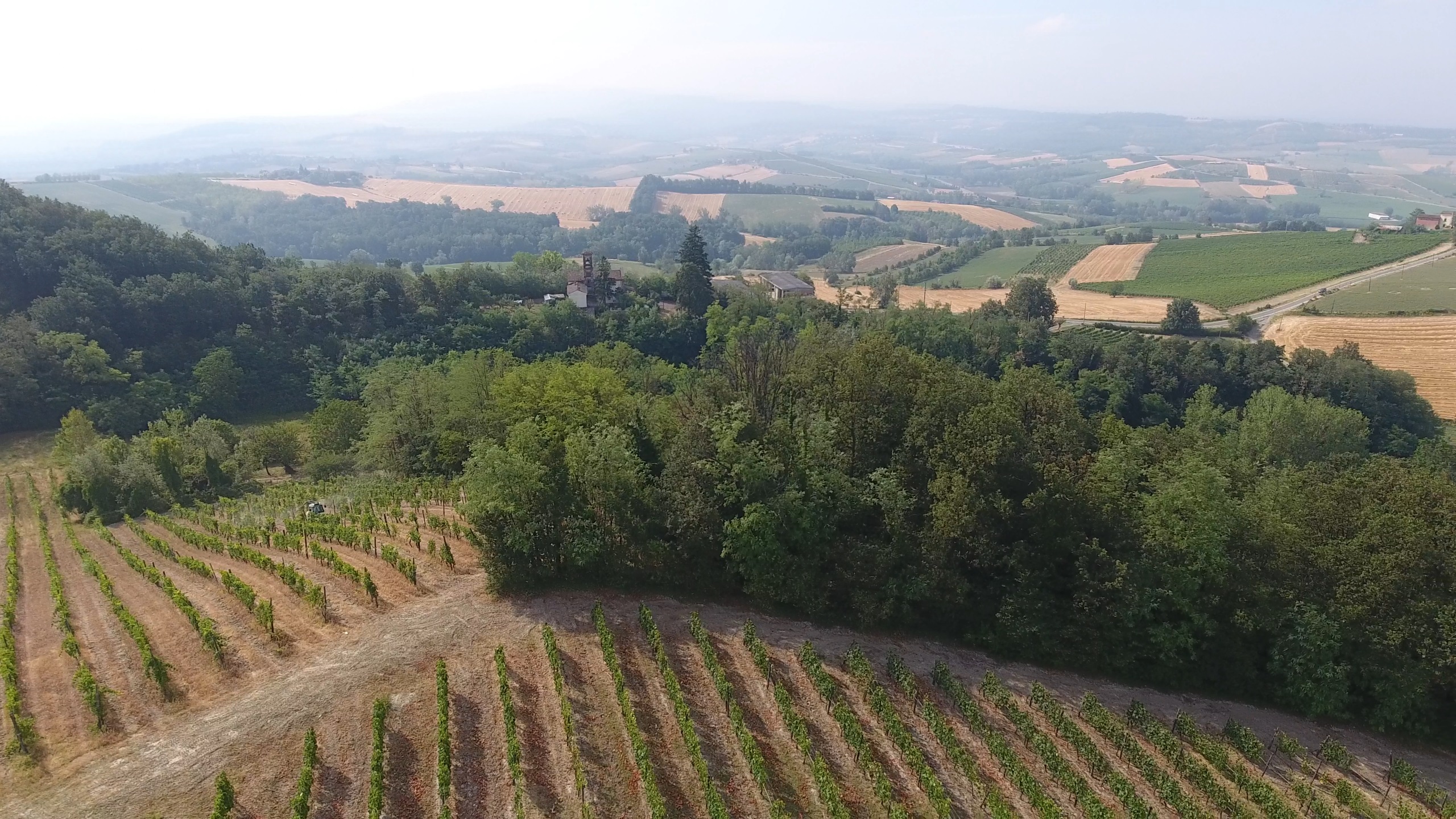 Vignobles de Tortone